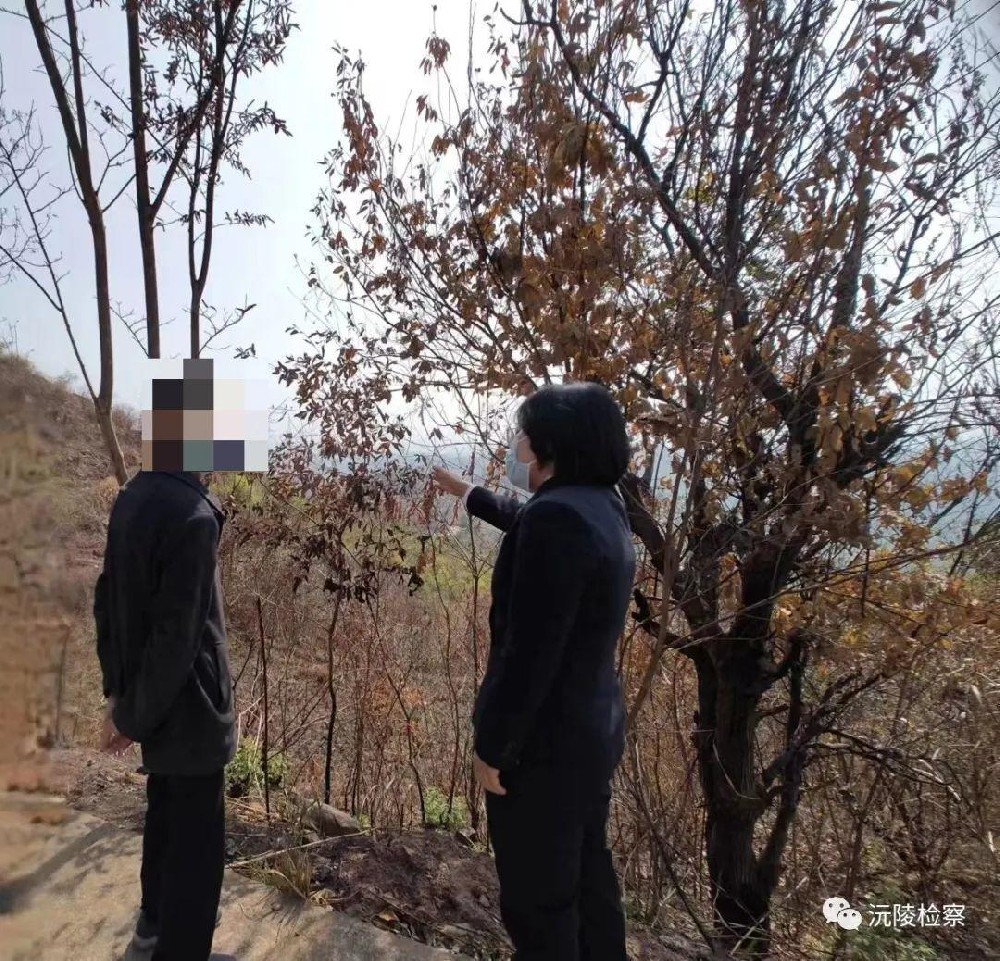 1670398417117373.jpeg 0ef5ea3a72b4c4394d2b996e45d813ad0f561d411669620767238.jpeg